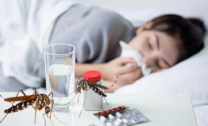 Mengenal Apa Itu Penyakit Malaria serta Gejalanya