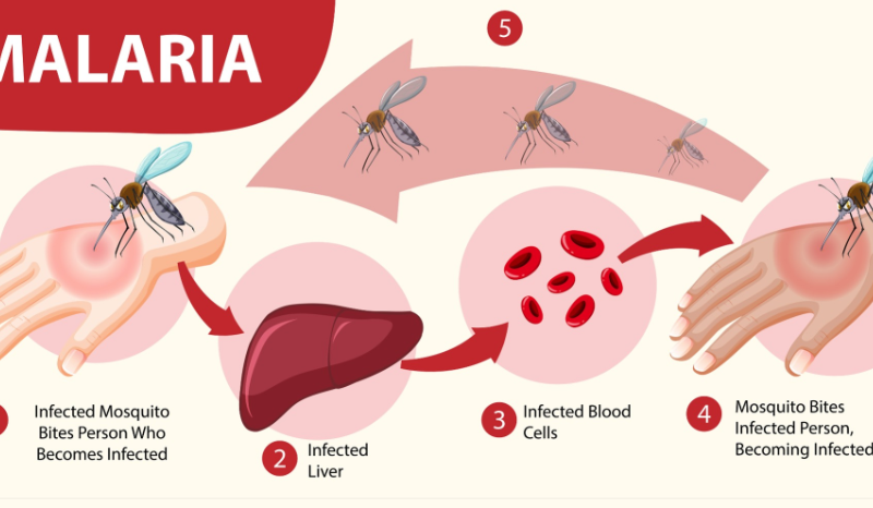 Kab.Mimika sedang menghadapi kekosongan obat penyakit Malaria
