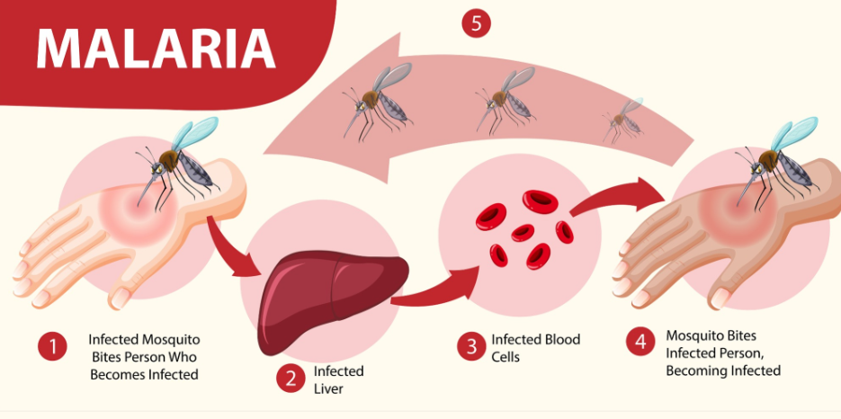 Kab.Mimika Sedang menghadapi kekosongan obat penyakit Malaria