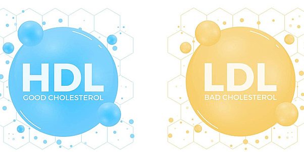 Mengenal Kolesterol Baik dan Kolesterol Jahat