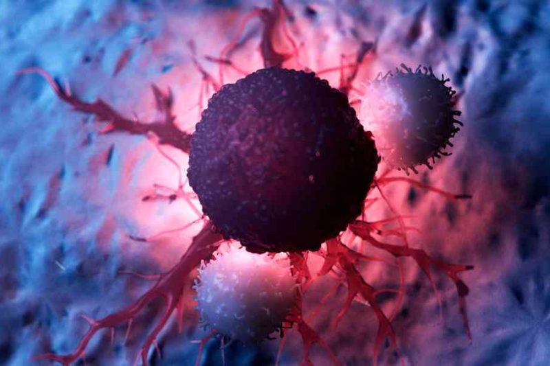 Perbedaan Tumor dan Kanker Menurut Medis yang perlu Diketahui