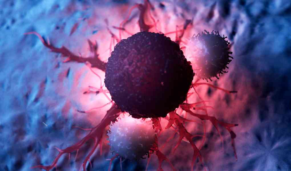 Perbedaan Tumor dan Kanker Menurut Medis yang perlu Diketahui